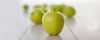 <strong>September selection:</strong> Green Dragon™ apples ship in mid-September as part of a 3, 6 or 12 month program.