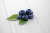 <strong> June selection:</strong> Oregon blueberries ship in mid-June as part of a 3, 6 or 12 month program.